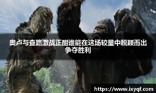 奥卢与查路激战正酣谁能在这场较量中脱颖而出争夺胜利